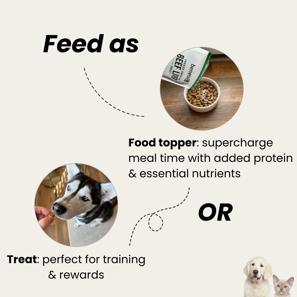 Freeze Dried Beef Liver Pet Treats